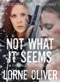 Cover: Not What it Seems (Faryn Steel Thriller, #1) - Faryn Steel Thriller