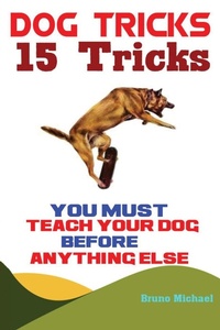 Enlarge image Cover: Dog Tricks - Fanton Publishers