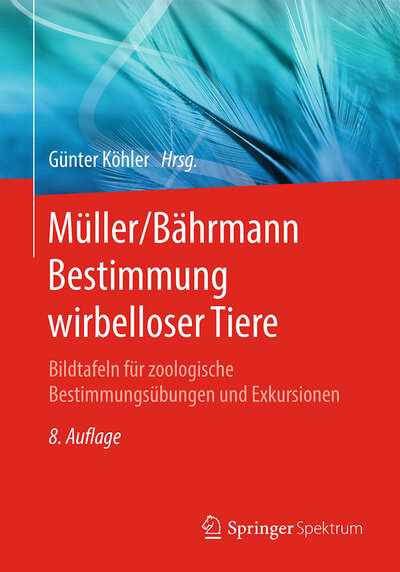Abbildung von: Müller/Bährmann Bestimmung wirbelloser Tiere - Springer Spektrum