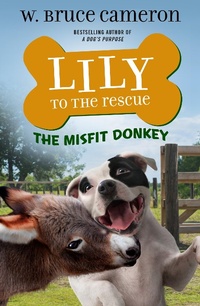 Enlarge image Cover: Lily to the Rescue: The Misfit Donkey - Odd Dot