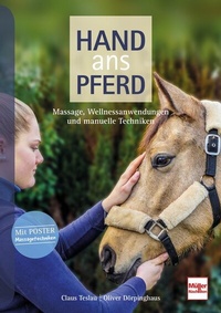 Abbildung von: Hand ans Pferd - Müller Rüschlikon