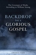 Cover: Backdrop for a Glorious Gospel - Reformation Heritage Books