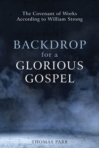 Enlarge image Cover: Backdrop for a Glorious Gospel - Reformation Heritage Books