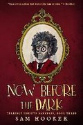 Cover: Now Before the Dark - Vesuvian Books