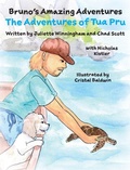 Cover: The Adventures of Tua Pru - FreeBird Foundation of Evergreen, CO