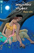 Cover: Gabhulalelya Chandrabanat - Mehta Publishing House