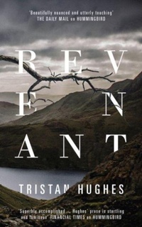 Enlarge image Cover: Revenant - Parthian Books