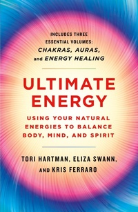 Enlarge image Cover: Ultimate Energy - St Martin's Press