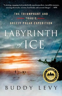 Enlarge image Cover: Labyrinth of Ice - St. Martin's Griffin