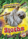 Cover: Sloths - Blastoff! Readers