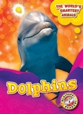Cover: Dolphins - Blastoff! Readers