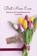 Cover: Best Mom Ever Mother's Day Journal - Dunhill-Clare Publishing