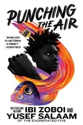 Cover: Punching the Air - Harper Fire