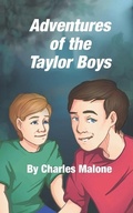 Cover: Adventures of the Taylor Boys - Literary Lantern Press