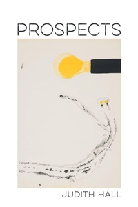 Enlarge image Cover: Prospects - Louisiana State University Press
