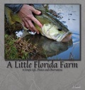 Cover: A Little Florida Farm - Indy Pub