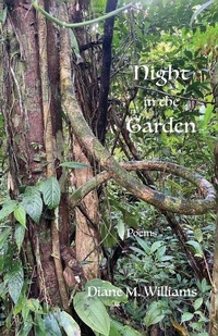 Enlarge image Cover: Night in the Garden - LunaMoth Press