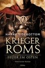 Cover: Krieger Roms - Feuer im Osten - Lübbe