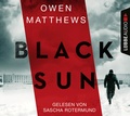 Cover: Black Sun - L&uuml;bbe Audio