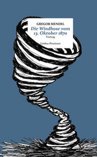 Abbildung von: Die Windhose vom 13. Oktober 1870 - Limbus Verlag