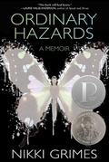 Cover: Ordinary Hazards - Wordsong