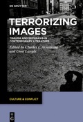 Cover: Terrorizing Images - De Gruyter