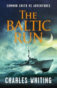 Enlarge image Cover: The Baltic Run - Canelo