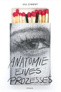 Cover: Anatomie eines Prozesses - ars vivendi