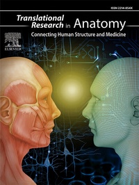 Abbildung von: Translational Research in Anatomy - Elsevier