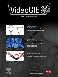 Abbildung von: VideoGIE - Elsevier