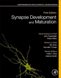 Enlarge image Cover: Synapse Development and Maturation - Academic Press