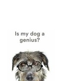 Cover: Is My Dog a Genius - Allsorted