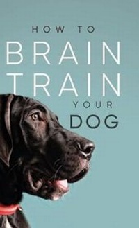 Enlarge image Cover: How to Brain Train Your Dog - Allsorted