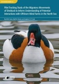 Cover: Pilot tracking study of the migratory movements of Shelduck to inform understanding of potential interactions with offshore wind farms in the North Sea - British Trust for Ornithology