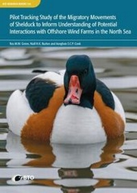 Enlarge image Cover: Pilot tracking study of the migratory movements of Shelduck to inform understanding of potential interactions with offshore wind farms in the North Sea - British Trust for Ornithology