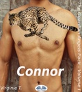 Cover: Connor - Tektime