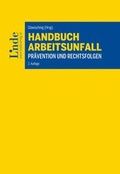 Cover: Handbuch Arbeitsunfall - Linde