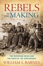 Cover: Rebels in the Making - OUP eBook