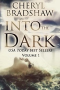 Cover: Into the Dark (USA Today Bestsellers, #1) - Pixie Publishing