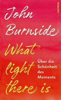 Enlarge image Cover: What light there is - Haymon Verlag
