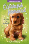 Cover: Ca&iquest;elu&iquest;ul Fermecat - Litera Media Group