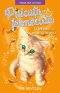 Cover: Pisicu&iquest;a Fermecata - Litera Media Group