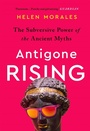 Cover: Antigone Rising - Wildfire