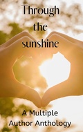 Cover: Through the Sunshine - Fae Corps Publishing