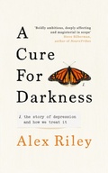 Cover: A Cure for Darkness - Ebury Digital