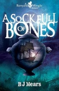 Cover: A Sock Full of Bones - Instant Apostle