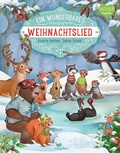 Cover: Ein wunderbares Weihnachtslied - Magellan