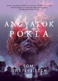 Cover: Angyalok pokla - Agave K&ouml;nyvek Kiad&oacute; Kft.