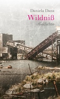 Cover: Wildni&szlig; - Wallstein