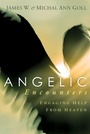Cover: Angelic Encounters - Charisma House